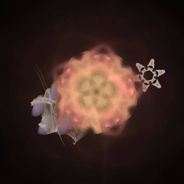 Fantezi kaotik renkli fraktal desen. Soyut Fraktal şekiller. 3D render resimde arka plan veya duvar kağıdı