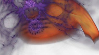 Fantezi kaotik renkli fraktal desen. Soyut Fraktal şekiller. 3D render resimde arka plan veya duvar kağıdı