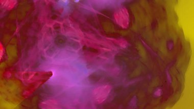 Fantezi kaotik renkli fraktal desen. Soyut Fraktal şekiller. 3D render resimde arka plan veya duvar kağıdı