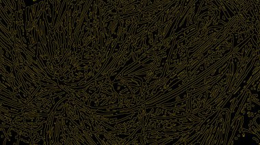 Fantezi kaotik renkli fraktal desen. Soyut Fraktal şekiller. 3D render resimde arka plan veya duvar kağıdı