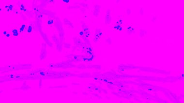 Fantezi kaotik renkli fraktal desen. Soyut Fraktal şekiller. 3D render resimde arka plan veya duvar kağıdı