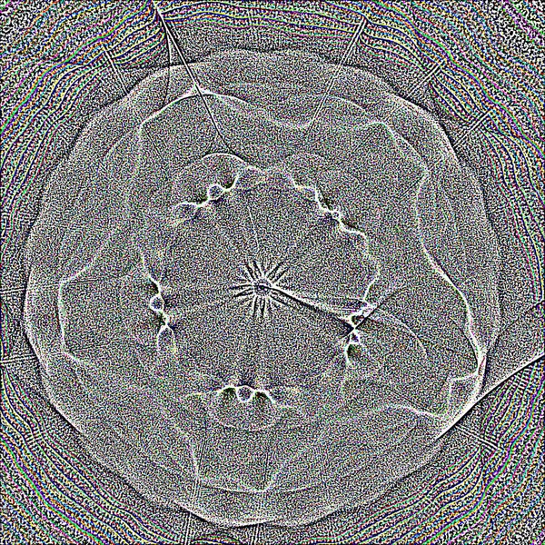 幻想中混乱的五颜六色的分形图案。抽象分形形状。3d 渲染插图背景或壁纸 — 图库照片