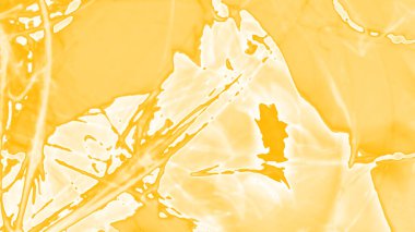 Fantezi kaotik renkli fraktal desen. Soyut Fraktal şekiller. 3D render resimde arka plan veya duvar kağıdı