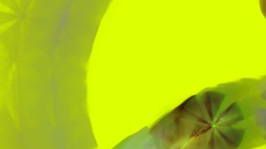 Fantezi kaotik renkli fraktal desen. Soyut Fraktal şekiller. 3D render resimde arka plan veya duvar kağıdı