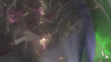 Fantezi kaotik renkli fraktal desen. Soyut Fraktal şekiller. 3D render resimde arka plan veya duvar kağıdı