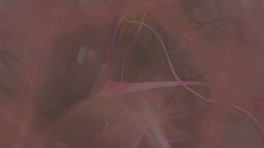 Fantezi kaotik renkli fraktal desen. Soyut Fraktal şekiller. 3D render resimde arka plan veya duvar kağıdı