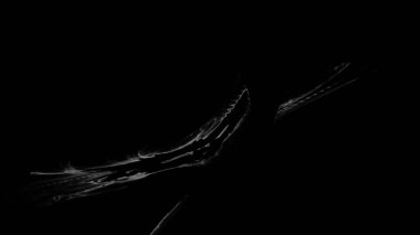 Fantezi kaotik renkli fraktal desen. Soyut Fraktal şekiller. 3D render resimde arka plan veya duvar kağıdı