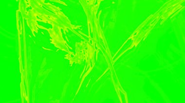 Fantezi kaotik renkli fraktal desen. Soyut Fraktal şekiller. 3D render resimde arka plan veya duvar kağıdı