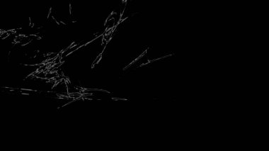 Fantezi kaotik renkli fraktal desen. Soyut Fraktal şekiller. 3D render resimde arka plan veya duvar kağıdı