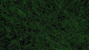 Fantezi kaotik renkli fraktal desen. Soyut Fraktal şekiller. 3D render resimde arka plan veya duvar kağıdı