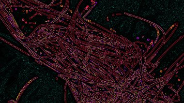 Fantezi kaotik renkli fraktal desen. Soyut Fraktal şekiller. 3D render resimde arka plan veya duvar kağıdı