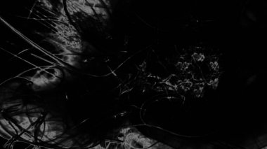 Fantezi kaotik renkli fraktal desen. Soyut Fraktal şekiller. 3D render resimde arka plan veya duvar kağıdı