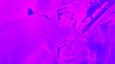 Fantezi kaotik renkli fraktal desen. Soyut Fraktal şekiller. 3D render resimde arka plan veya duvar kağıdı