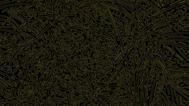 Fantezi kaotik renkli fraktal desen. Soyut Fraktal şekiller. 3D render resimde arka plan veya duvar kağıdı