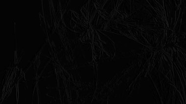 Fantezi kaotik renkli fraktal desen. Soyut Fraktal şekiller. 3D render resimde arka plan veya duvar kağıdı