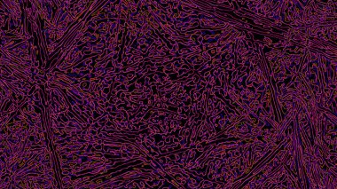 Fantezi kaotik renkli fraktal desen. Soyut Fraktal şekiller. 3D render resimde arka plan veya duvar kağıdı