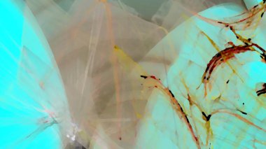 Fantezi kaotik renkli fraktal desen. Soyut Fraktal şekiller. 3D render resimde arka plan veya duvar kağıdı