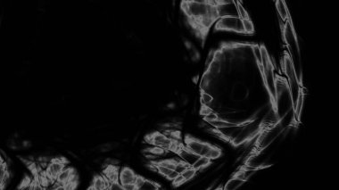 Fantezi kaotik renkli fraktal desen. Soyut Fraktal şekiller. 3D render resimde arka plan veya duvar kağıdı