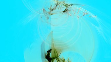 Fantezi kaotik renkli fraktal desen. Soyut Fraktal şekiller. 3D render resimde arka plan veya duvar kağıdı