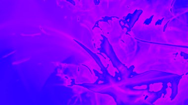 Fantezi kaotik renkli fraktal desen. Soyut Fraktal şekiller. 3D render resimde arka plan veya duvar kağıdı