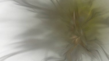 Fantezi kaotik renkli fraktal desen. Soyut Fraktal şekiller. 3D render resimde arka plan veya duvar kağıdı