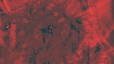 Fantezi kaotik renkli fraktal desen. Soyut Fraktal şekiller. 3D render resimde arka plan veya duvar kağıdı