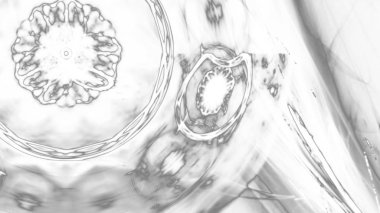 Fantezi kaotik renkli fraktal desen. Soyut Fraktal şekiller. 3D render resimde arka plan veya duvar kağıdı