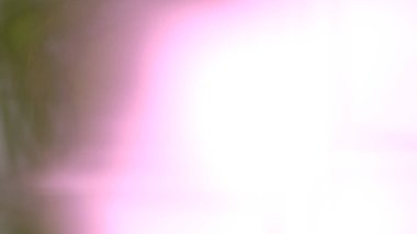 Fantezi kaotik renkli fraktal desen. Soyut Fraktal şekiller. 3D render resimde arka plan veya duvar kağıdı