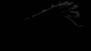 Fantezi kaotik renkli fraktal desen. Soyut Fraktal şekiller. 3D render resimde arka plan veya duvar kağıdı