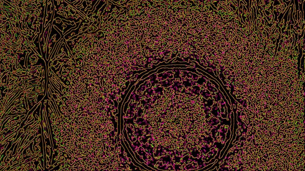 Fantaisie chaotique motif fractal coloré. Formes fractales abstraites. rendu 3D fond d'illustration ou fond d'écran — Photo