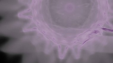 Fantezi kaotik renkli fraktal desen. Soyut Fraktal şekiller. 3D render resimde arka plan veya duvar kağıdı