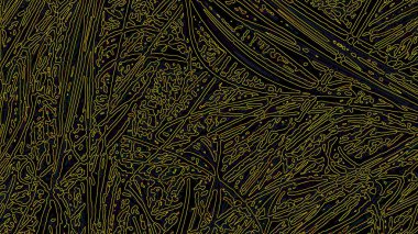 Fantezi kaotik renkli fraktal desen. Soyut Fraktal şekiller. 3D render resimde arka plan veya duvar kağıdı