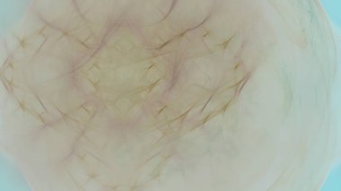 Fantezi kaotik renkli fraktal desen. Soyut Fraktal şekiller. 3D render resimde arka plan veya duvar kağıdı