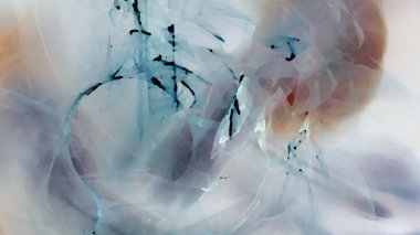 Fantezi kaotik renkli fraktal desen. Soyut Fraktal şekiller. 3D render resimde arka plan veya duvar kağıdı