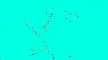 Fantezi kaotik renkli fraktal desen. Soyut Fraktal şekiller. 3D render resimde arka plan veya duvar kağıdı