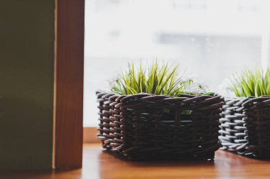 Yeşil çim 8489 sepetle.