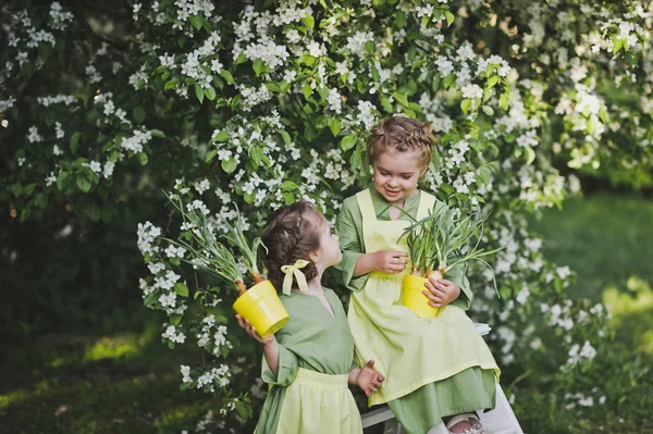 Niños con ropa de lino jugando en un huerto de cerezos 8295 . — Foto de Stock