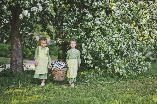 Namorada carregou uma cesta de vime com flores para decoração do jardim — Fotografia de Stock