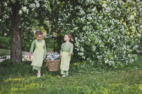 Girlfriend carried a wicker basket with flowers for garden decor — Stock Photo, Image