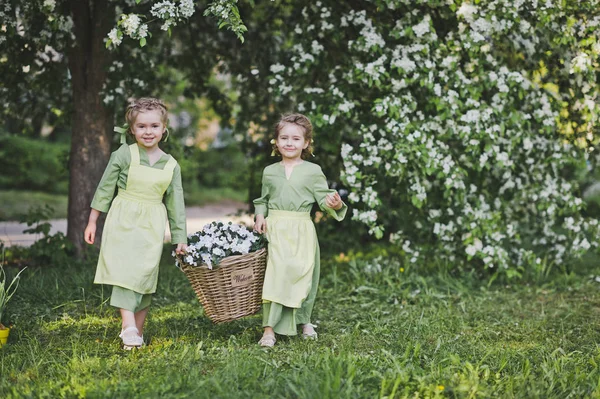 女友拿着一个柳条篮子带花做花园装饰 — 图库照片