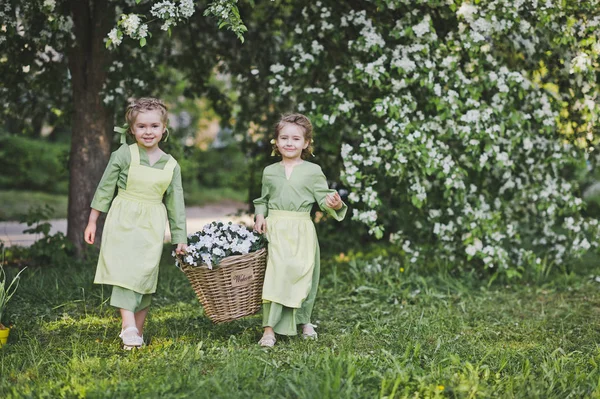 Namorada carregou uma cesta de vime com flores para decoração do jardim — Fotografia de Stock