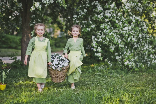 Namorada carregou uma cesta de vime com flores para decoração do jardim — Fotografia de Stock