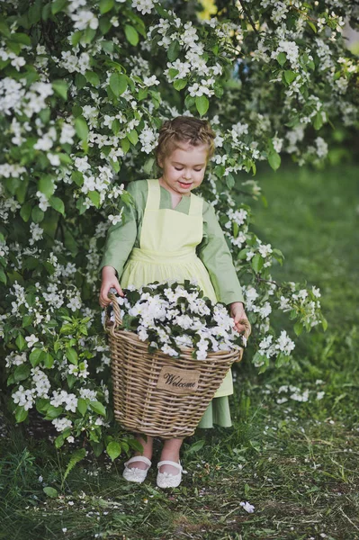 Chica en vestido con cesta de flores blancas en sus manos 8322 . —  Fotos de Stock