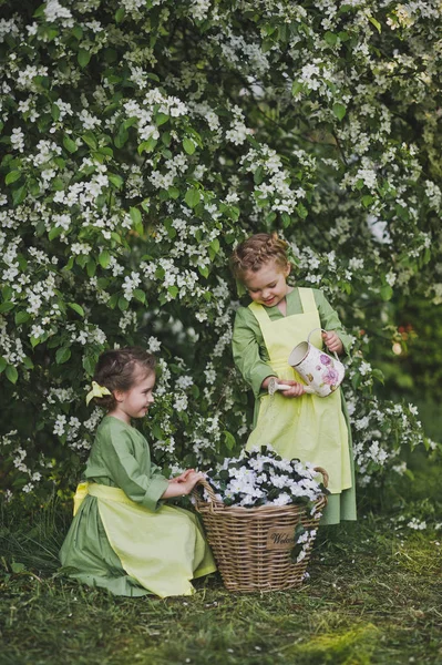 Kız kiraz çiçekleri 833 arka plan üzerinde oynuyorlar — Stok fotoğraf