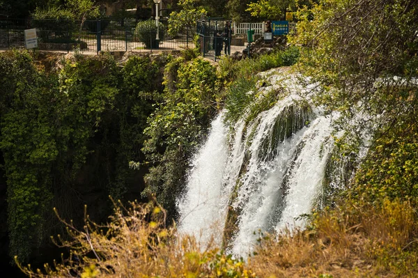 Bubbling cascada del arroyo cae desde una gran altura 8386 . —  Fotos de Stock