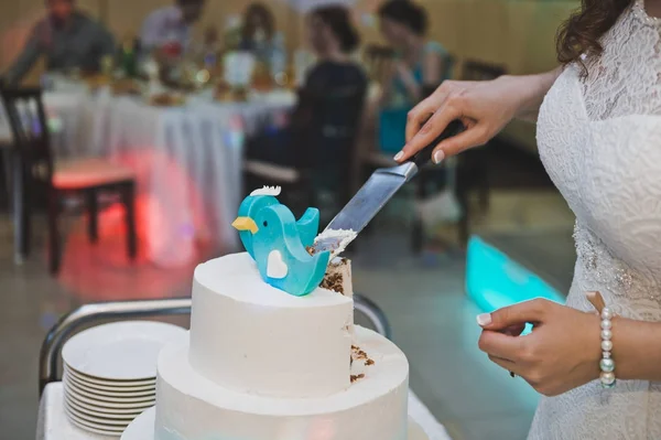 Blaue Vögel oben auf dem Kuchen 8812. — Stockfoto