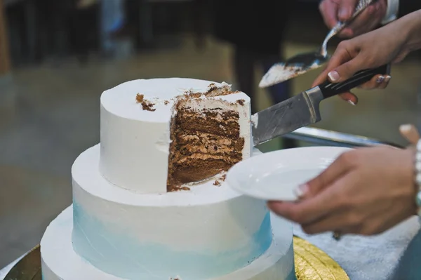 Die Braut teilt sich einen süßen Kuchen in Stücke 8814. — Stockfoto