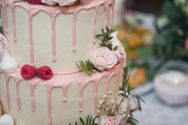 Un enorme pastel de boda de cuatro capas 9676 . —  Fotos de Stock