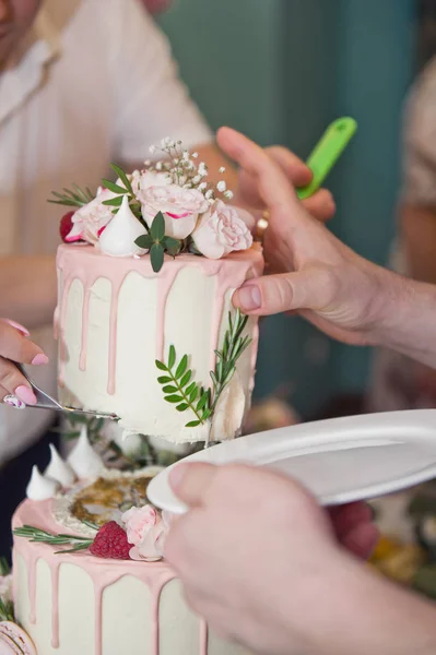 La novia corta el pastel en pedazos para los invitados 9682 . —  Fotos de Stock