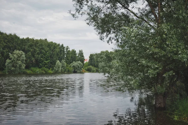 Widok na staw z wysokich drzew wzdłuż brzegów 9703. — Zdjęcie stockowe